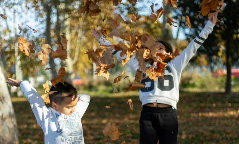 prog vacs automne vignette