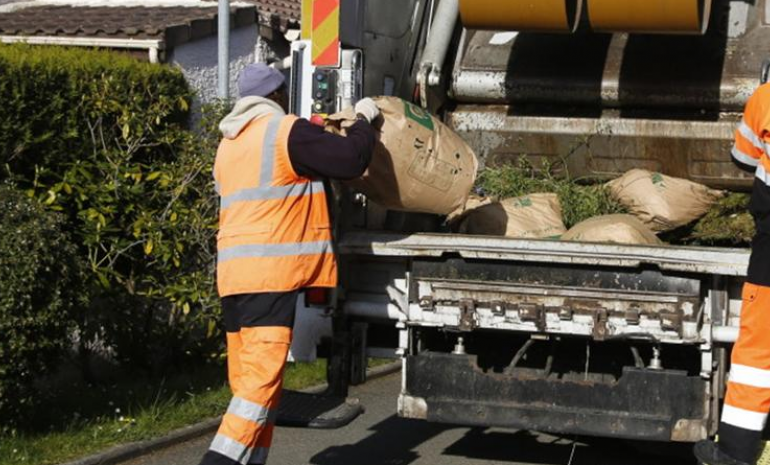 déchets verts