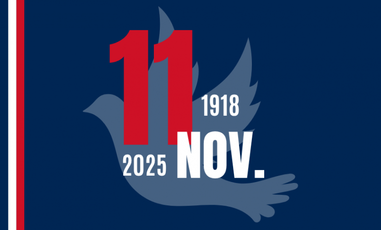 vignette 11 nov 2025