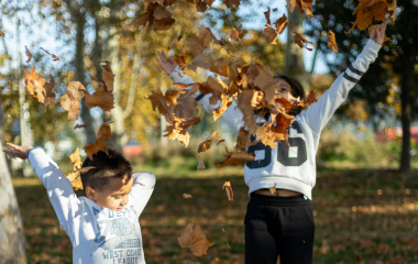 prog vacs automne vignette