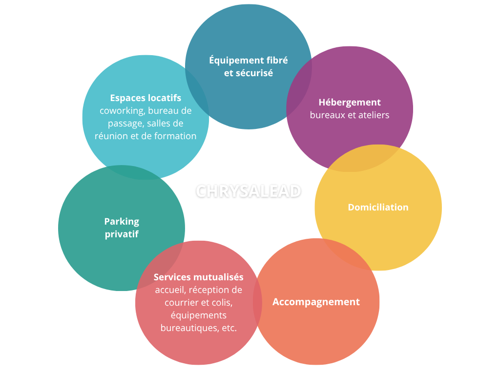 Services proposés par Chysalead