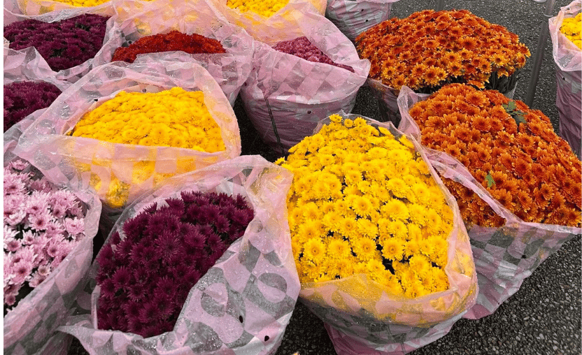 Toussaint : vente de fleurs au Cimetière Parc